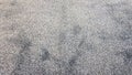 Gray carpet polyester texture. Seamless monochrome gray carpet texture background from above. Close-up Royalty Free Stock Photo