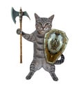 Cat gray armed with battle axe and shield 3 Royalty Free Stock Photo