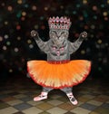 Cat gray ballet dancer in orange skirt Royalty Free Stock Photo