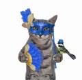 Cat Gray In Blue Carnival Mask