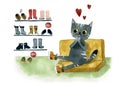 Gray cat in the store buys your favorite shoes