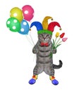 Cat gray clown holds tulips and balloons