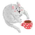 Gray cat drinking tea