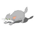 The gray cat is frightened and hissing. Vector illustration.