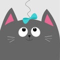 Gray cat head looking at blue bow hanging on thread. Royalty Free Stock Photo