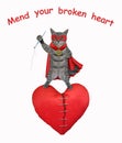 Cat gray hero mend broken heart Royalty Free Stock Photo