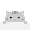 Gray cat holding empty paper, table. Cute cartoon kawaii funny kitten kitty hiding behind paper wall. Typography print template.