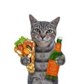 Cat gray with beer and soft waffles 2