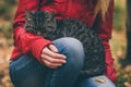 Gray Cat homeless and Woman hugging