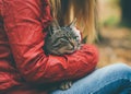 Gray Cat homeless and Woman hugging Outdoor