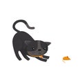 Gray cat hunting on mouse. Pet with shiny eyes and orange collar. Cartoon character of domestic animal. Flat vector for