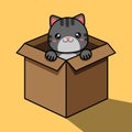 The gray cat looks out of the box. Cartoon cute cat sits in a box. Vector illustration. Royalty Free Stock Photo