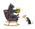 Cat gray with mug of beer in rocking chair 2 Royalty Free Stock Photo