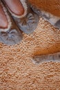 Gray cat paws and human feet in slippers Royalty Free Stock Photo