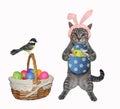 Cat gray stands with easter egg Royalty Free Stock Photo