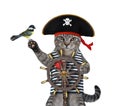 Cat gray pirate at helm of ship