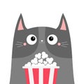 Gray cat popcorn box. Cute cartoon funny character. Kids print for tshirt notebook cover. Cinema theater. Film show. Kitten Royalty Free Stock Photo