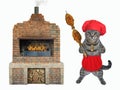 Cat gray cooks fish on skewer Royalty Free Stock Photo