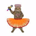Cat gray singer in orange skirt Royalty Free Stock Photo