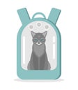 A gray cat sitting in a blue carrier backpack with a transparent window on a white background. Flat vector illustration