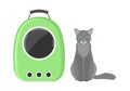 A gray cat sitting next to a green carrier backpack with a transparent window on a white background. Vector flat illustration