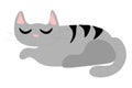 Gray cat is sleeping, children's drawing
