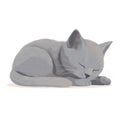 a gray cat is sleeping on the floor with its head on its paws and eyes closed, with its head on the ground, with its eyes closed