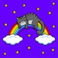 Gray cat sleeps on a rainbow. Night sky and stars.Vector illustration.