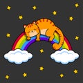 Gray cat sleeps on a rainbow. Night sky and stars.Vector illustration.