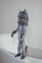 Gray cat stands on its hind legs. A pet. The cat is worth it Royalty Free Stock Photo