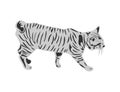 Gray cat with a striped pattern walking