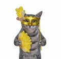Cat Gray In Yellow Carnival Mask