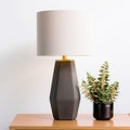 Gray Ceramic Table Lamp With Plant Standing - Contemporary Diy