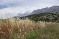 Gray clouds over the mountains and beautiful dry grass on a mountain slope on a rainy summer day, Croatia Royalty Free Stock Photo