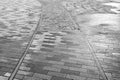 Cobblestones with Old Train Tracks Royalty Free Stock Photo