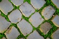 Gray cobblestones of paving stones, between them grows young green shoots of grass. Royalty Free Stock Photo