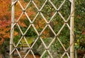 The gray color bamboo fence on yellow and green leaves trees background in autumn season in Japanese garden Royalty Free Stock Photo