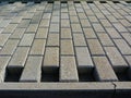 concrete interlocking sidewalk pavement during construction Royalty Free Stock Photo