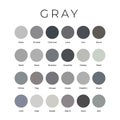Gray Color Shades Swatches Palette with Names