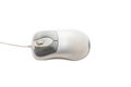 Gray computer mouse with cable isolated over white