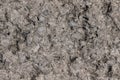 Gray concrete backgroundl with small white stones. Clous up. Tex Royalty Free Stock Photo