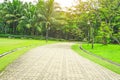 The gray concrete block pavement walkway beside beautiful fresh green carpet grass yard, smooth lawn and evergreen leaf coconut Royalty Free Stock Photo