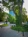 Gray concrete pavement with green trees around Royalty Free Stock Photo