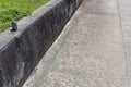 Gray concrete retaining wall along a driveway with grass and weeds
