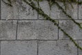 Gray concrete wall built with dement