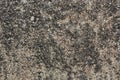 Gray concrete  wall texture  background Royalty Free Stock Photo