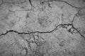 Gray cracked concrete texture background, close up Royalty Free Stock Photo