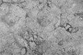 Gray cracked concrete texture background, close up Royalty Free Stock Photo