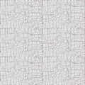 Gray craquelure texture Royalty Free Stock Photo