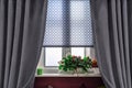 Gray curtains and fabric blinds with ornaments on the windows in the living room Royalty Free Stock Photo